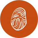 icon-finger Corpoar